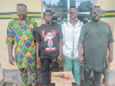 Oyo Police Arrest Four Suspected Armed Robbers, Cultists in Ibadan Raid